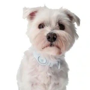 Kup Etui Bizon Case Locator Pets do Apple AirTag białe - BIZ6 - {ean13} - Sklep Home Screen