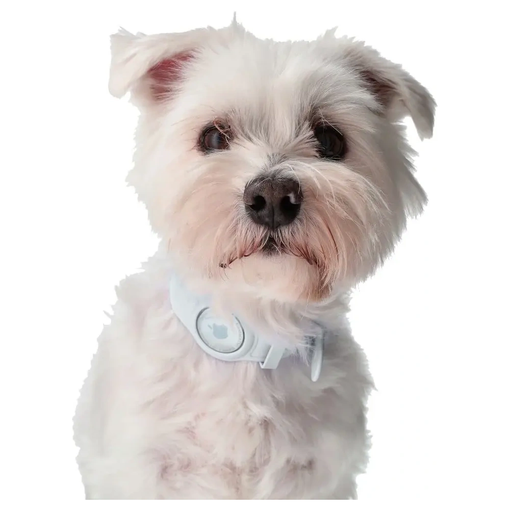 Etui Bizon Case Locator Pets do Apple AirTag białe