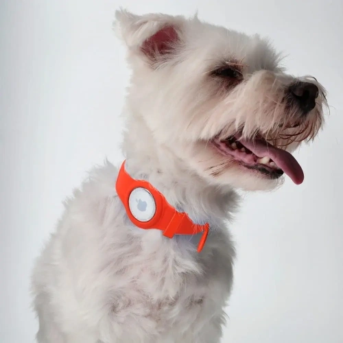 Buy Bizon Case Locator Pets Apple AirTag red - BIZ9 - {ean13} - Home Screen Store Europe