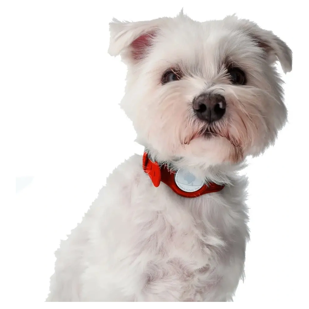 Etui Bizon Case Locator Pets do Apple AirTag czerwone