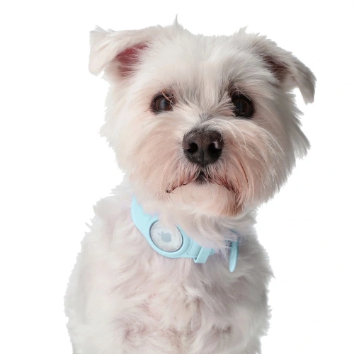 Buy Bizon Case Locator Pets Apple AirTag turquoise - BIZ14 - {ean13} - Home Screen Store Europe