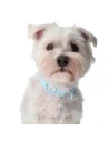 Buy Bizon Case Locator Pets Apple AirTag turquoise - BIZ14 - {ean13} - Home Screen Store Europe