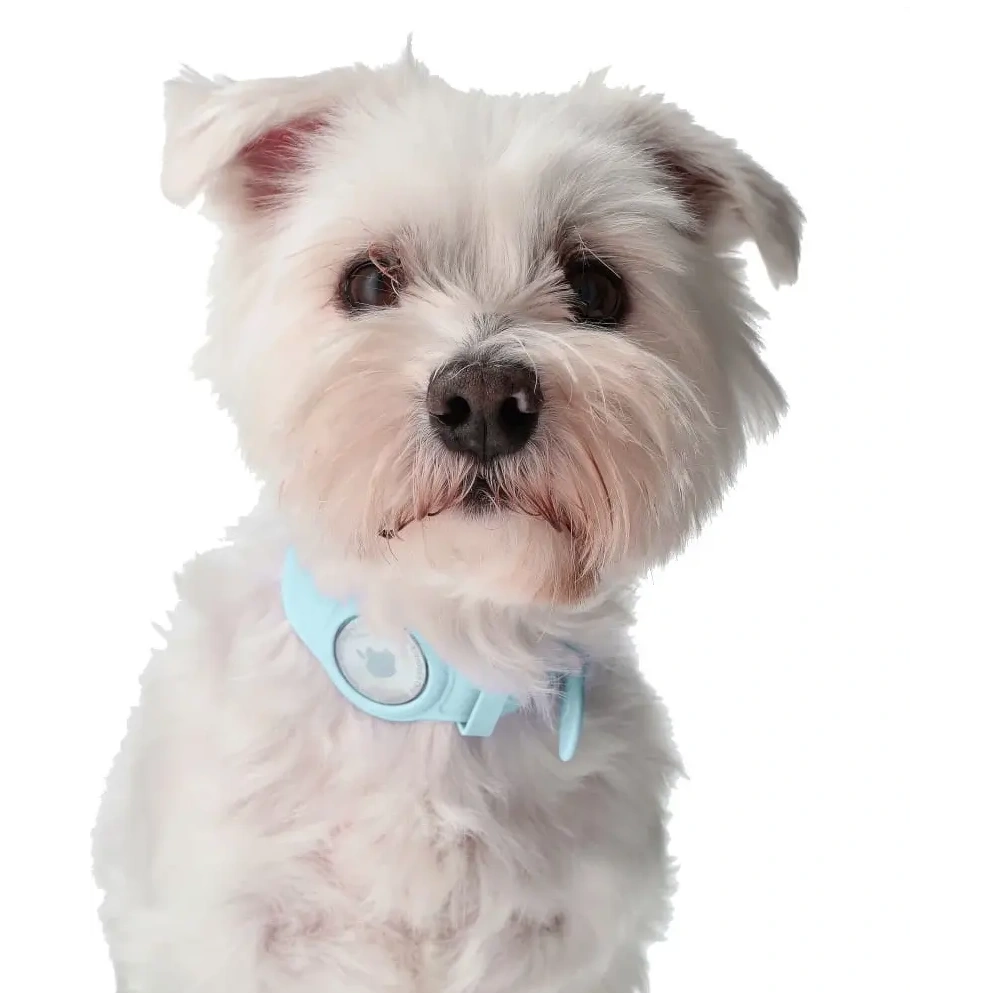 Etui Bizon Case Locator Pets do Apple AirTag turkusowe