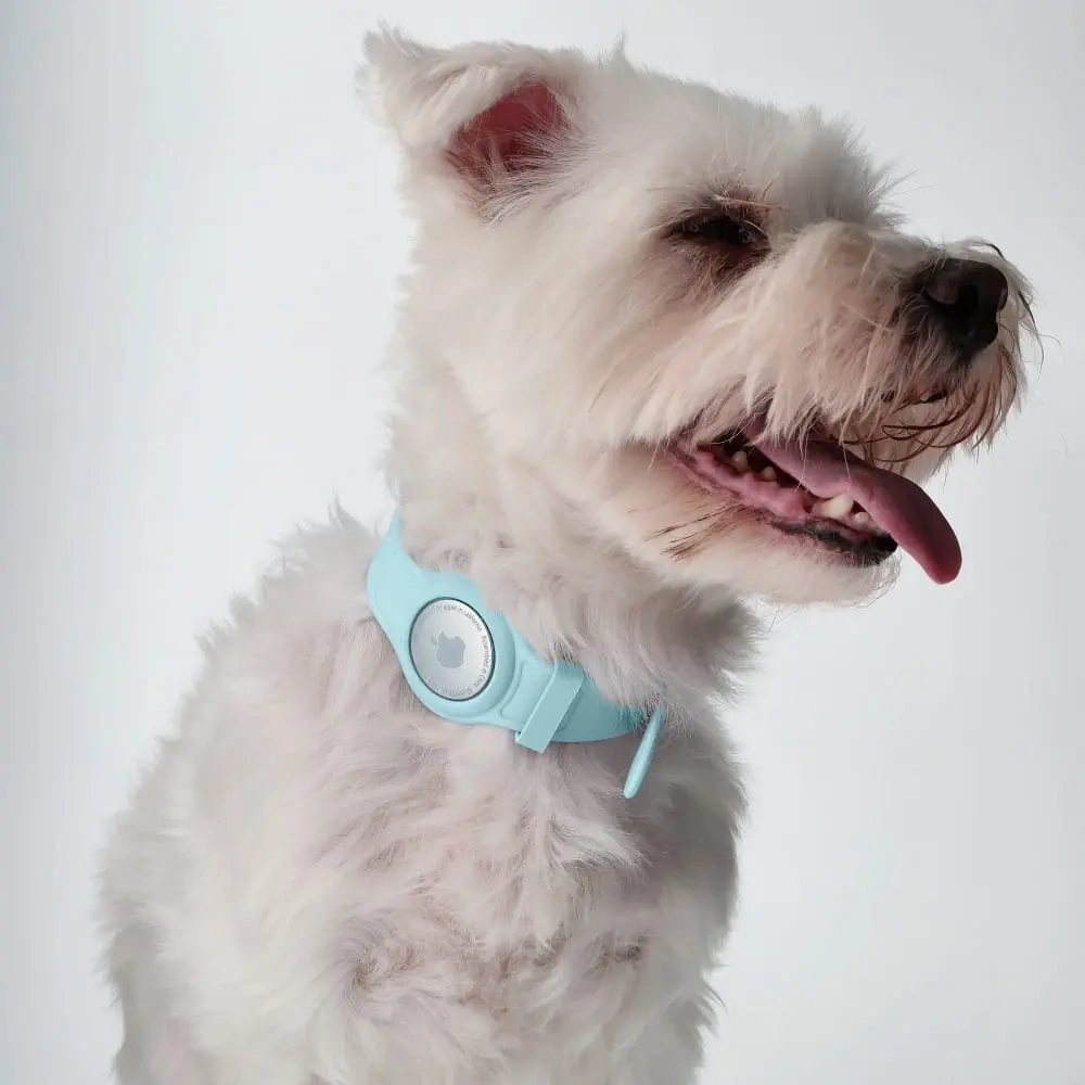 Etui Bizon Case Locator Pets do Apple AirTag turkusowe