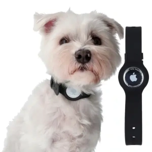 Buy Bizon Case Locator Pets Apple AirTag black - BIZ22 - {ean13} - Home Screen Store Europe
