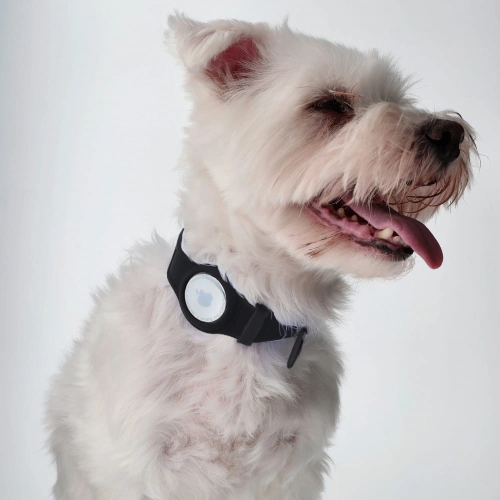 Etui Bizon Case Locator Pets do Apple AirTag czarne