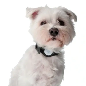 Kup Etui Bizon Case Locator Pets do Apple AirTag czarne - BIZ22 - {ean13} - Sklep Home Screen