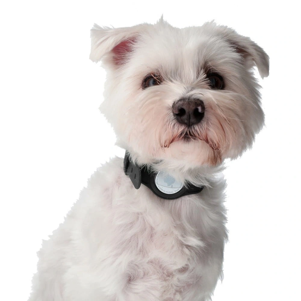 Etui Bizon Case Locator Pets do Apple AirTag czarne