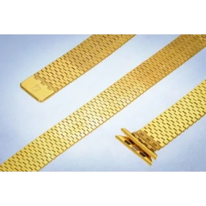 Kup Bizon Strap Uhr Titan Apple Uhr 38/40/41/42 mm gold - BIZ5401 - {ean13} - Sklep Home Screen