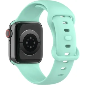 Kup Bizon Strap Uhr Silikon Apple Uhr 38/40/41/42 mm mint - BIZ5890 - {ean13} - Sklep Home Screen