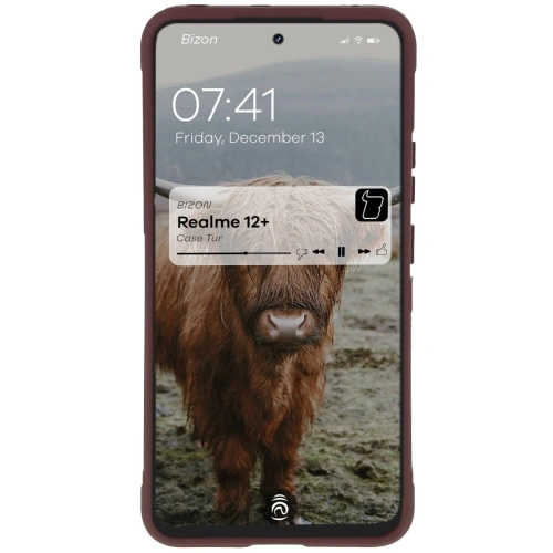Kup Bizon tok Tur Realme 12+ sötét lila - BIZ6703 - {ean13} - Sklep Home Screen