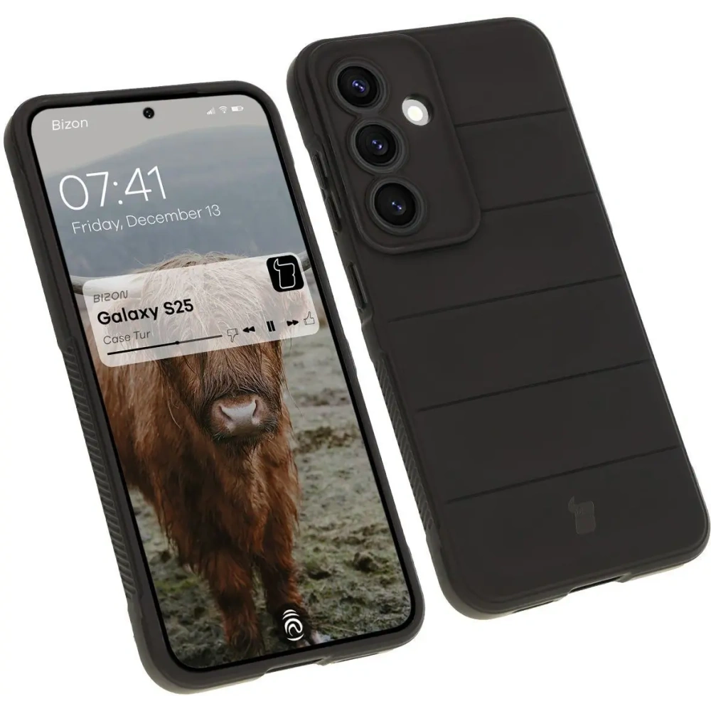 Pancerne etui Bizon Case Tur do Samsung Galaxy S25 czarne