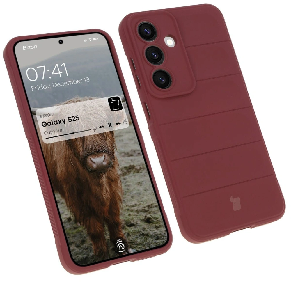 Pancerne etui Bizon Case Tur do Samsung Galaxy S25 ciemnofioletowe