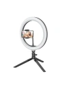 Buy Blitzwolf BW-SL3 Tripod with LED Lamp - BLZ217 - {ean13} - Home Screen Store Europe