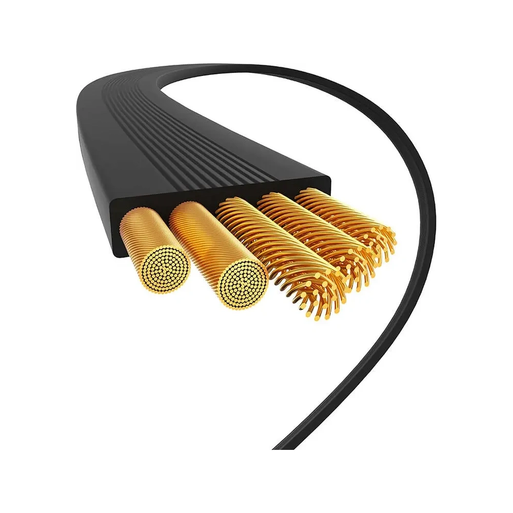 Kabel do ładowania Baseus USB-C / USB-C 100W Edycja Bayern Monachium (czarny)