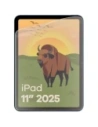 Kup BIZON Üveg Tab Film Nap Apple iPad 10.9" 2022 / 11" 2025 [2 Csomag] - BIZ9276 - {ean13} - Sklep Home Screen