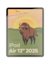 Kup Folia matowa Bizon Glass Tab Film Sun do Apple iPad Air 13" 2024 / 13" 2025 [2 PACK] - BIZ9321 - {ean13} - Sklep Home Screen