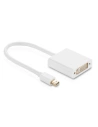 UGREEN 10402 Mini Display Port auf DVI-Adapter, 15cm (weiß)