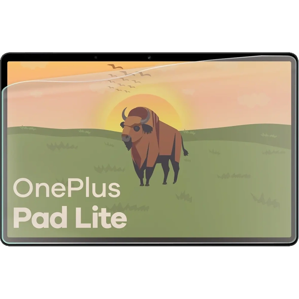 Folia matowa Bizon Glass Tab Film Sun Duo do OnePlus Pad Lite [2 PACK]