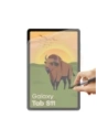 Folia matowa Bizon Glass Tab Film Sun do Samsung Galaxy Tab S11