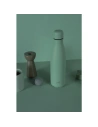 Kup Termos z nerezové oceli PURO ICON 500ml (zelený) (práškový nástřik) - PUR229GRN - {ean13} - Sklep Home Screen