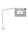 Buy Phone / tablet clip holder Baseus Otaku (silver) - BSU1625SLV - {ean13} - Home Screen Store Europe