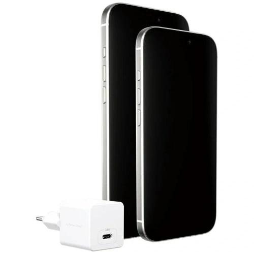 Ładowarka sieciowa Empower by PanzerGlass Turbo 30W USB-C srebrno-czarny