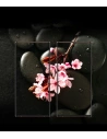 Kup Szkło hartowane na aparat Ringke Camera Glass Samsung Galaxy Note 20 Ultra [3 PACK] - RGK1236 - {ean13} - Sklep Home Screen