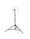 Buy Blitzwolf BW-SL2 Desktop Flash LED Phone Holder - BLZ291 - {ean13} - Home Screen Store Europe
