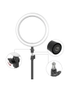 Buy Blitzwolf BW-SL2 Desktop Flash LED Phone Holder - BLZ291 - {ean13} - Home Screen Store Europe