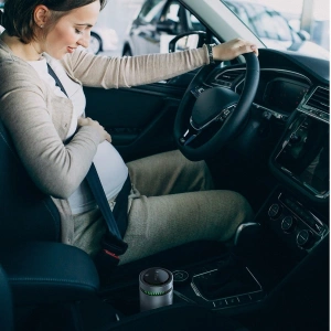 Automobilový čistič vzduchu Baseus, se ukazatelem formaldehydu (stříbrný)
