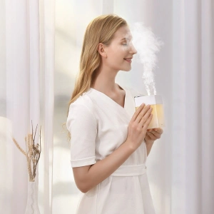 Buy Baseus Time Magic Box air humidifier, 550ml (2000mAh) - white - BSU1840WHT - {ean13} - Home Screen Store Europe