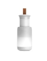 Baseus Starlit Night car lamp (white)