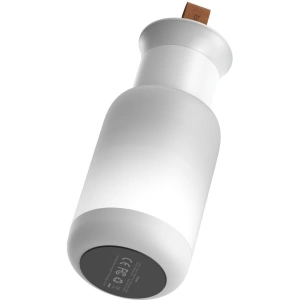 Baseus Starlit Night car lamp (white)