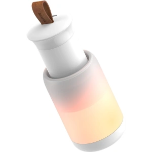 Baseus Starlit Night car lamp (white)
