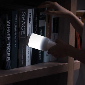 Baseus Starlit Night car lamp (white)