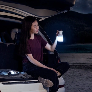Baseus Starlit Night car lamp (white)