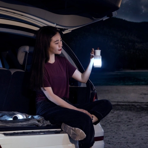 Buy Baseus Starlit Night car lamp (white) - BSU1913WHT - {ean13} - Home Screen Store Europe