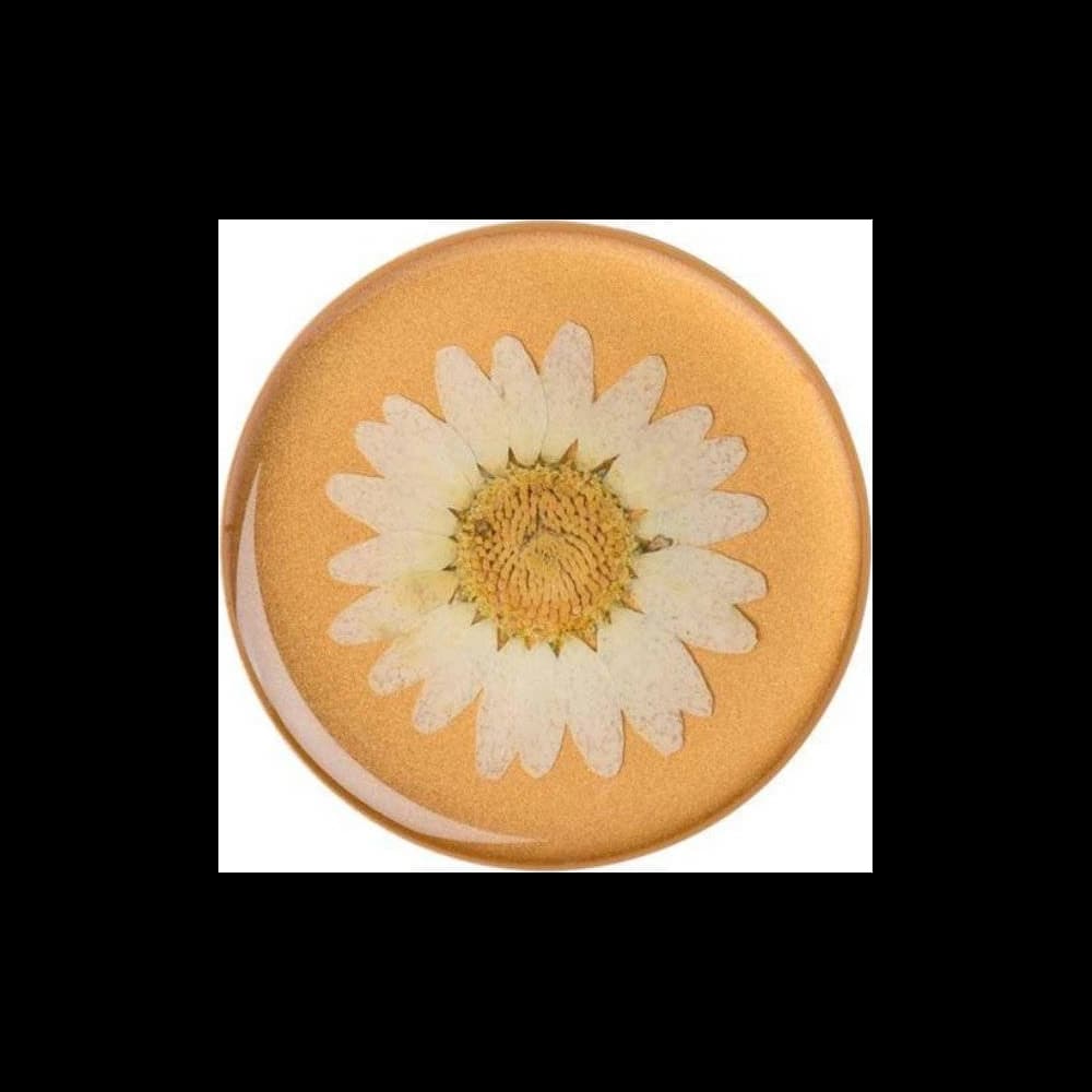 POPSOCKETS Holder Premium Pressed Flower White Daisy - 2