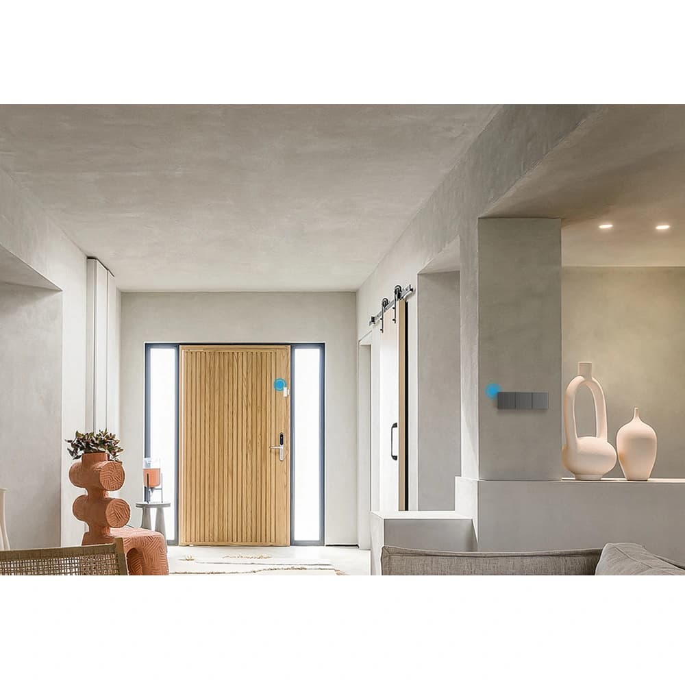 Inteligent comutator Sonoff 1-canale perete Wi-Fi negru - 13