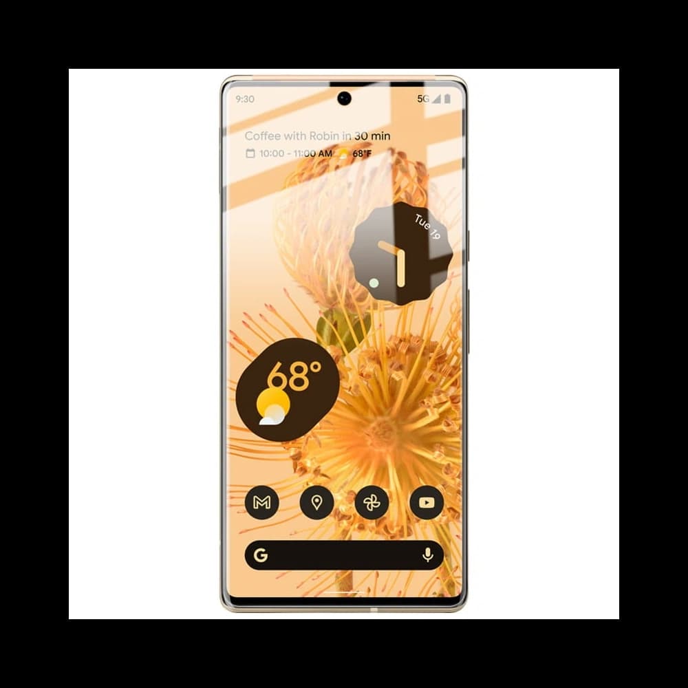 Bizon Glass Hydrogel Google Pixel 6 Pro [2 PACK] - 4