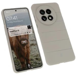 Bizon Case Tur OnePlus 13 light grey