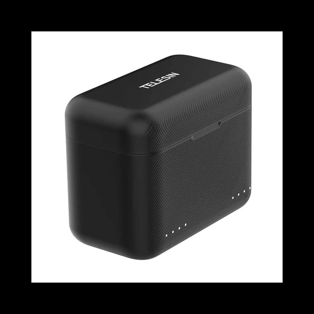 TELESIN Dual-Channel-Ladegerät für Insta360 X3 - 1