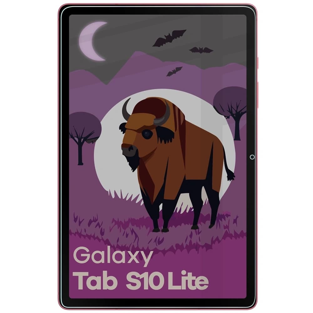 Bizon Glass Tab Mule Shadow Samsung Galaxy Tab S10 Lite mat - 3