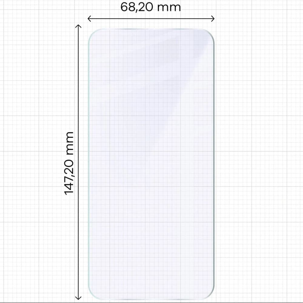 Bizon Glass Mule Vivo X300 - 2