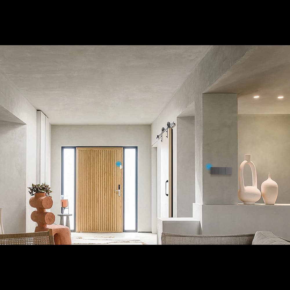 [CR] Inteligent comutator Sonoff 1-canale perete Wi-Fi negru - 13