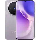 Vivo X300