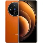 Vivo X100