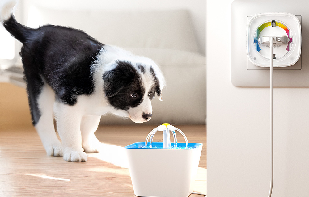 Puppy drinking water from an automatic water dispenser connected to a smart socket in the wall