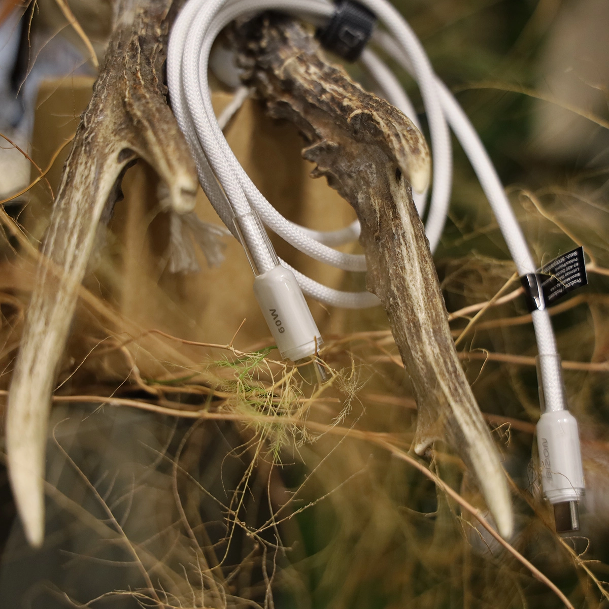 Zbliżenie na charakterystykę kabla Bizon Cable 60 W